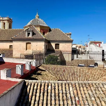Apartament Atico Con Gran Terraza Privada - Cozyhomesevilla8